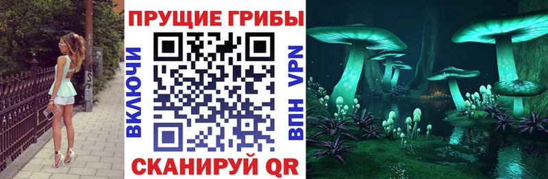 Купить где  Гудермес  Псилоцибиновые грибы мицелий 